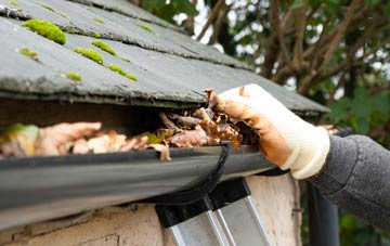 gutter cleaning Dalston