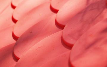 Dalston plastic roof costs